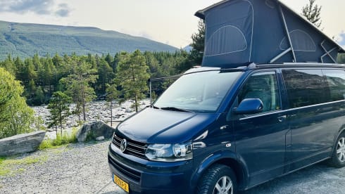 Blaue blitz – Wonderful original VW California 