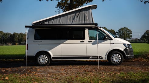 Volkswagen T5/6 5 person camper for rent