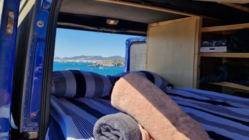 Palmtree – Spaceious Citroën Jumper