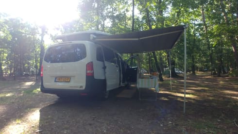 Zonnegeel – 3 person Mercedes-Benz bus from 2017