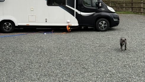 6 berth Peugeot semi-integrated from 2013