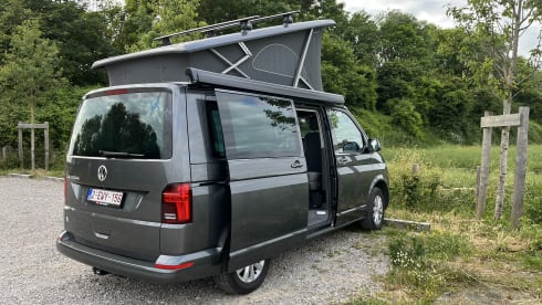 4p Volkswagen campervan uit 2024