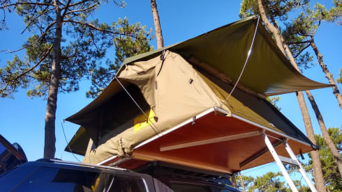 4p Ford rooftop from 2016