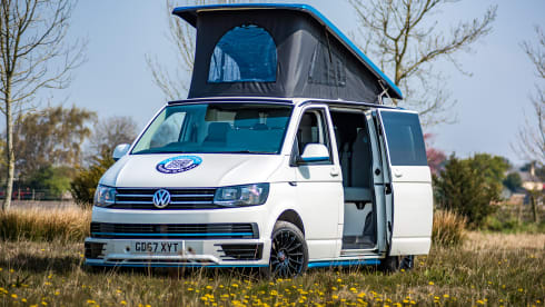 Bob – White & Blue Ormskirk