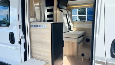 CAMPEREVE MAGELLAN 641