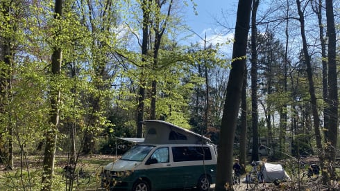 Hippe 4 persoons Volkswagen T6 (ombouw in 2022)