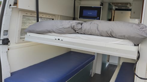 Master β Reanult Master