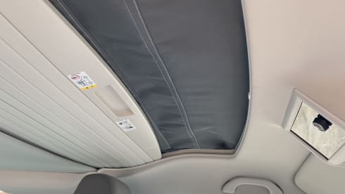 CALI Brown Grey – Volkswagen California COAST Brown/AscotGrey (2021)