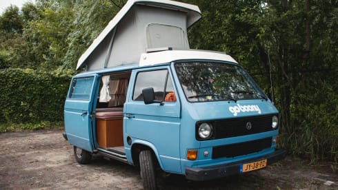Aliforni – Zuverlässiger Volkswagen T3