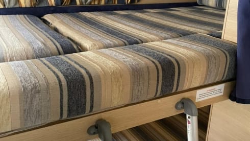 Flora madaluno – Fabiograsso2018@gmail.com