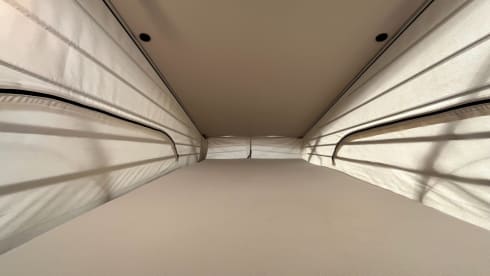 Molly – 4 berth Mercedes-Benz Marco Polo campervan from 2019