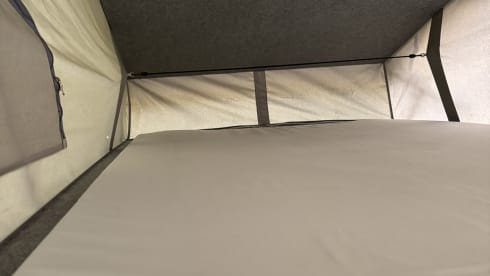 Goldie – Explore with Goldie - Up to 6 Berth VW T6 Campervan