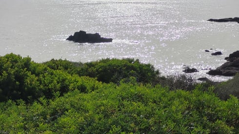 Kangoo maxi aménagé 