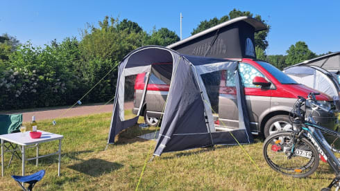 Mambo No.1 – Volkswagen Campervan 'Extra long' 