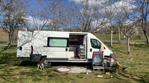 Frida – 2p Peugeot bus from 2012