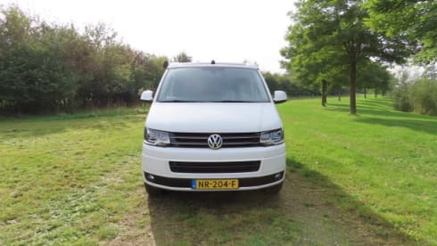 Buzz – VW California Comfort Line (T5)