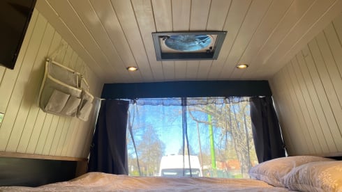 Nicky – 2 berth spacious Citroën van
