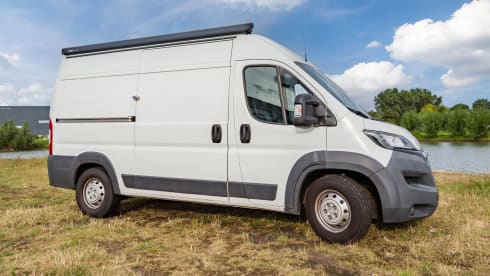 Copito – 3p Other bus from 2015