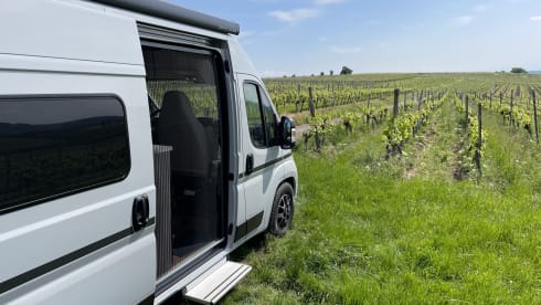 Fiat Ducato - Etrusco 600BB - 4 pers.