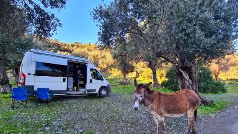 Libe – 2p Peugeot bus from 2007