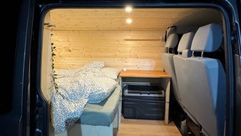 2p Volkswagen campervan from 2014