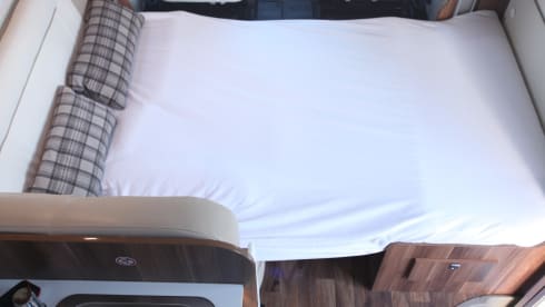 T-Line 590 – T-Line 590