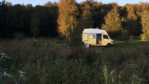La Bus – 2-person Mercedes-Benz campervan from 1977