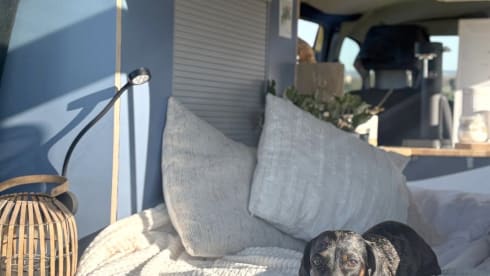 Campervan Autark für 3 Personen