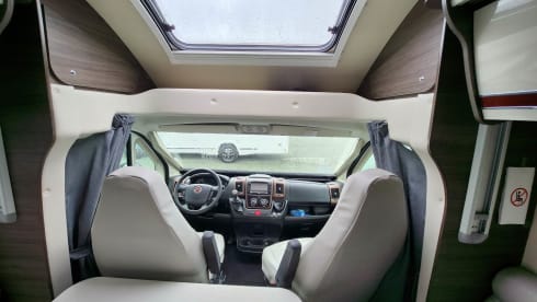 4p McLouis integrated uit 2019
