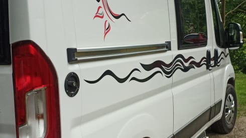 El 31  – Camper furgonato Road Car 540
