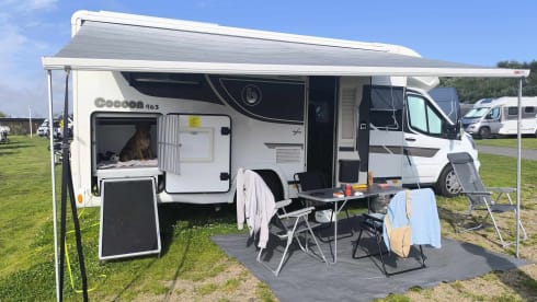 4p Benimar semi-integrated uit 2022