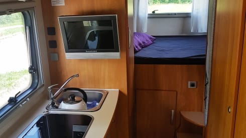 Nasenbär – old lady