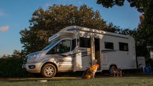 Lily – Lily - Luxury 4 Berth, Automatic Motorhome 