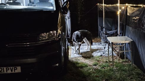 Indy  – VW Transporter Campervan 2021 - 4 Berth