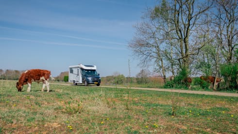 Luxury Bürstner Lyseo (2020) 