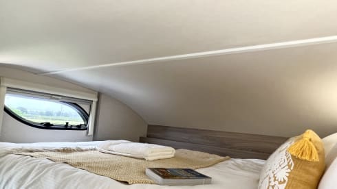 Wilf – 6 belt, 6 berth (2023)