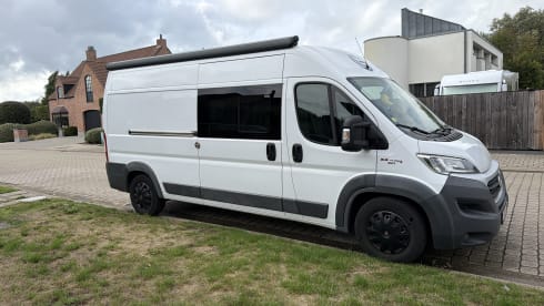 Bobo – 2p Fiat bus uit 2018