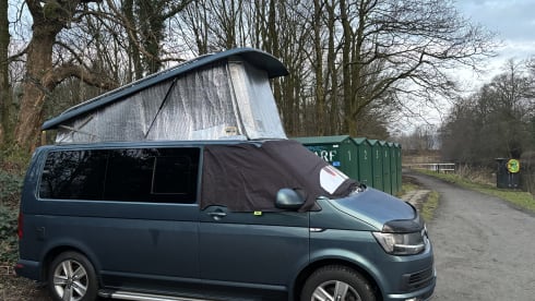 Bamboo Buck – Hashtagcampeurs 