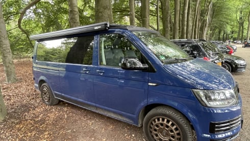 5p Volkswagen campervan from 2018