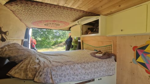 Leeuwke – Minibus Peugeot 2 places de 2014