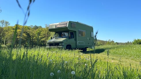 Viejo Amigo – 4p Fiat alcove uit 1993