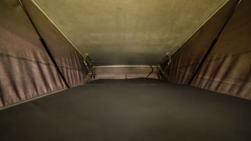 Rino il campeRino – Volkswagen T4 westfalia california