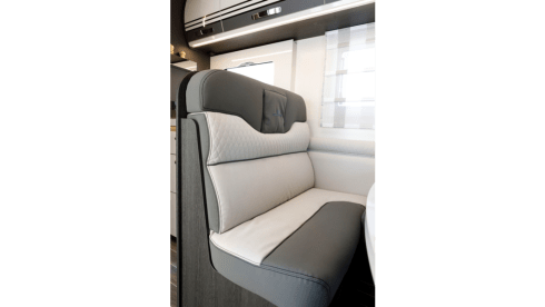 Boas – Boas wants to go on an adventure with you (max 4 adults)!