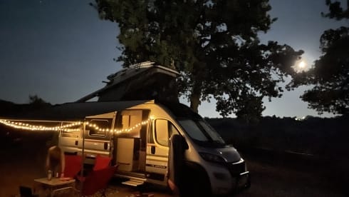 4p Fiat bus from 2022