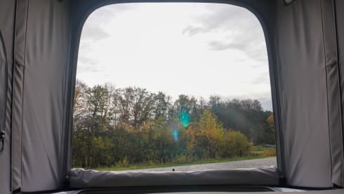 Lewis – 4-Sitzer Volkswagen California Campervan ab 2026