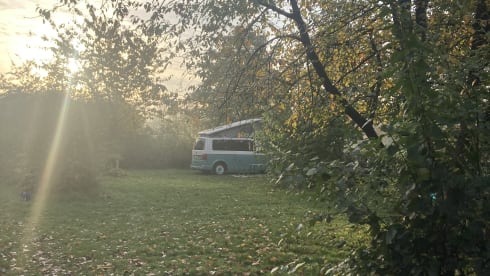 4p Volkswagen T6 L2H1 from 2017 with 2022 interior