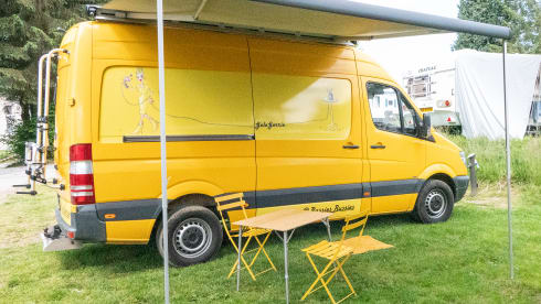 Gele Gerrie – Nothing is too crazy in this luxurious cat! Underfloor heating, coffee or a glass of wine?