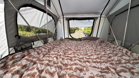 Harvey – 4 berth Volkswagen rooftop from 2007