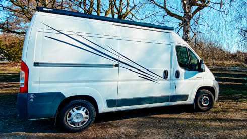 Accogliente camper per autobus fai-da-te (surf).