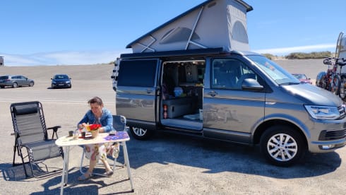 Déesse – VWCalifornia Ocean